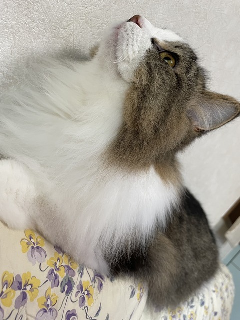 CD73647E-C6B7-4FEC-A42A-6BE0BD45654B