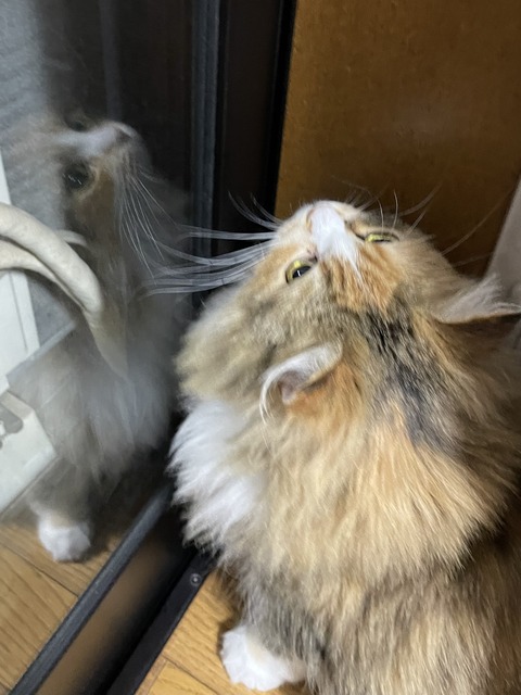 1F85DB7C-E8CA-4C00-9970-E082CDD3C8EA