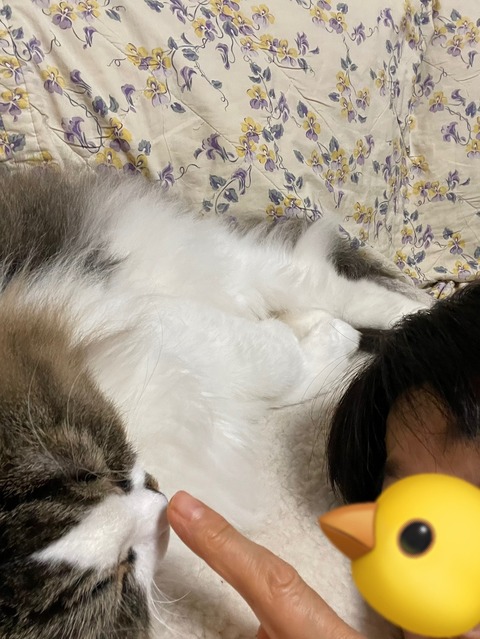 313893EA-ACB2-46B0-93D5-FC122124DCDE