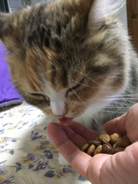 4510BA98-8A93-47E4-A6C5-41FA5ADECC96