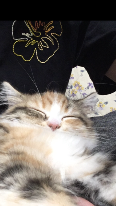 5DD98C6F-1A81-483A-A82F-F84DB017A1CD