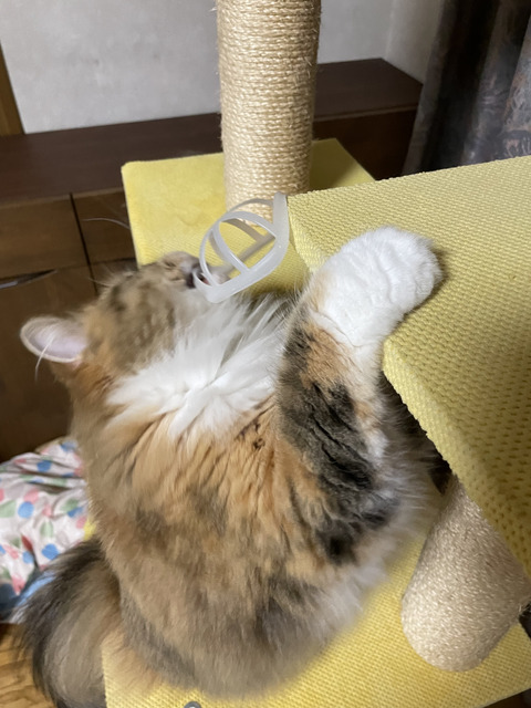 2CA9A4DB-1BAD-46C5-A972-7D2D356A3549