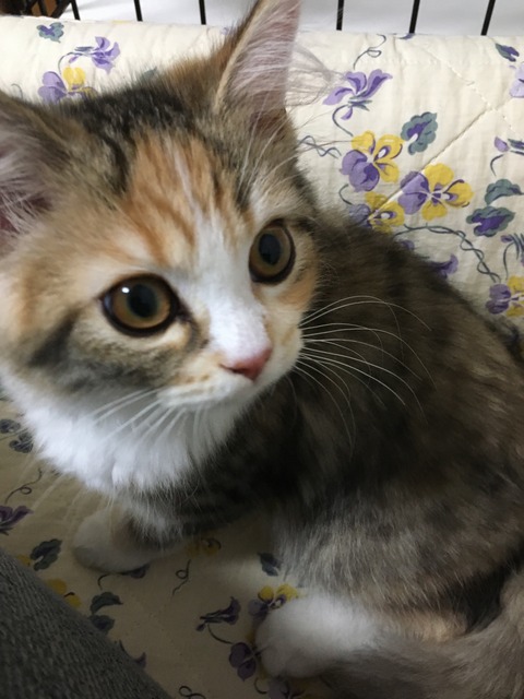 FB5E97B0-2EAE-43B8-825D-E1853B21DBBD