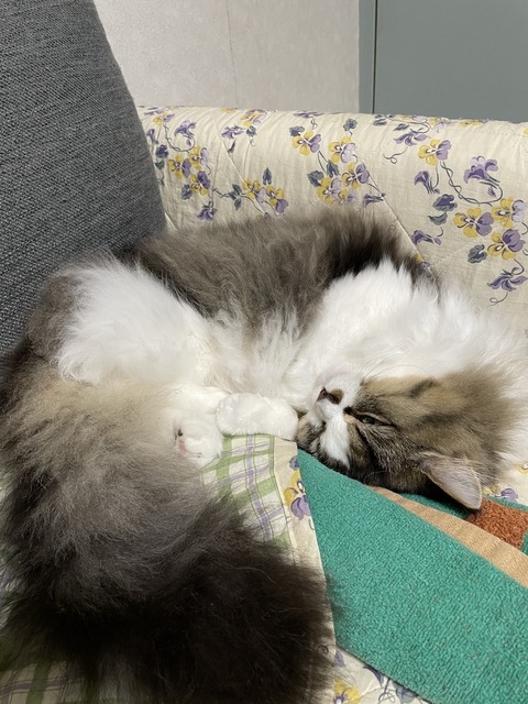 D1AE39D8-8173-4B23-97ED-7500CFBB1AB0