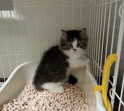 F8AA8919-33C7-448E-BAAB-B9A90A6497E4