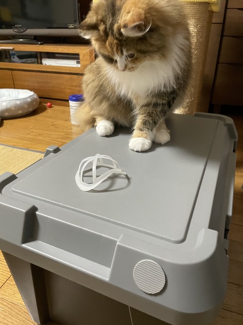 99C3900D-EAB1-42C6-A6C6-5BEA526EEE89