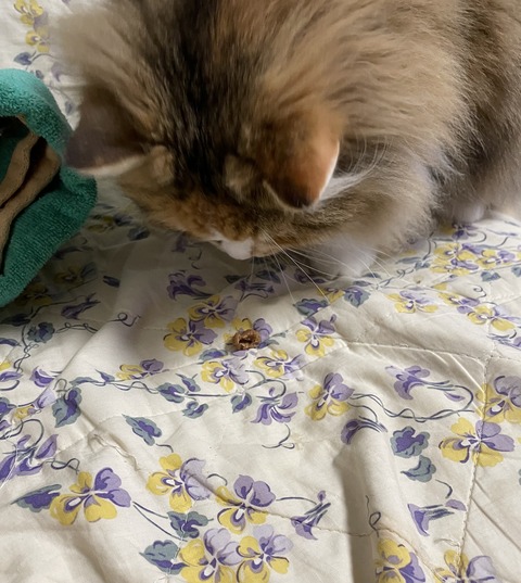 4120556E-2DE6-42FA-8E7B-D7394744B64B