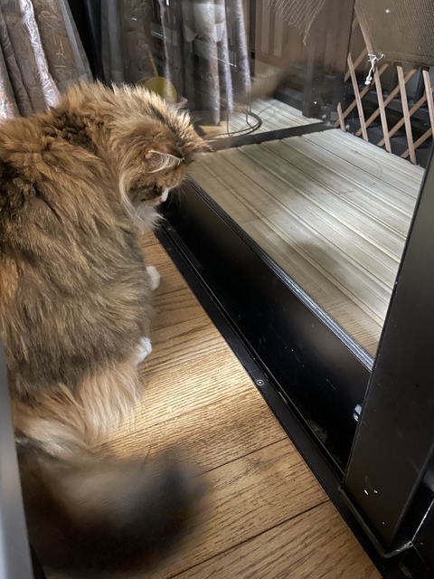 7D96CFA8-9FB2-4EC2-80F5-CF453AB82654