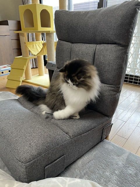 E75E5B43-EF11-45F3-9E92-5B8A3FE98FFC