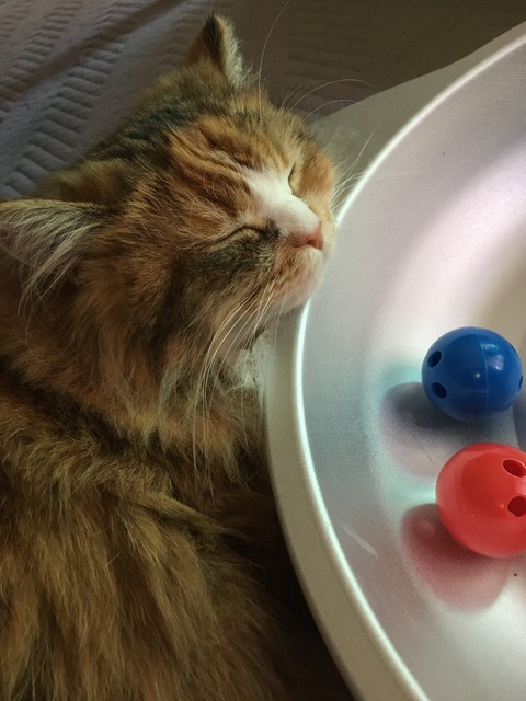 BE54A6A0-CCF7-40FF-B49F-00C07D848FD0