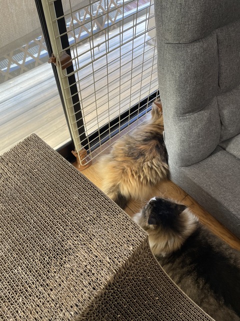 F9D9D4A8-5EFE-43B7-99FE-C436DACCEC82