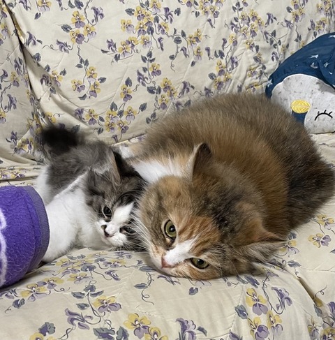 2A67D824-8754-44FD-BA75-3EA9B0A2EED7