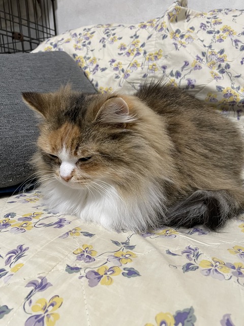 C4022BAE-2513-4D65-A76E-B8FB109F76EA