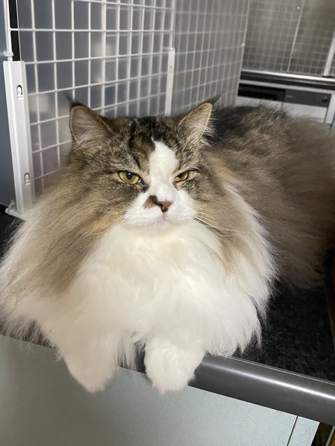 4EC1FD3F-2AE4-4048-BFAA-2D741FD6EB04