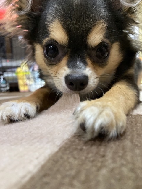 9B51BFE1-B0F4-4939-ACD9-9D14A1945880