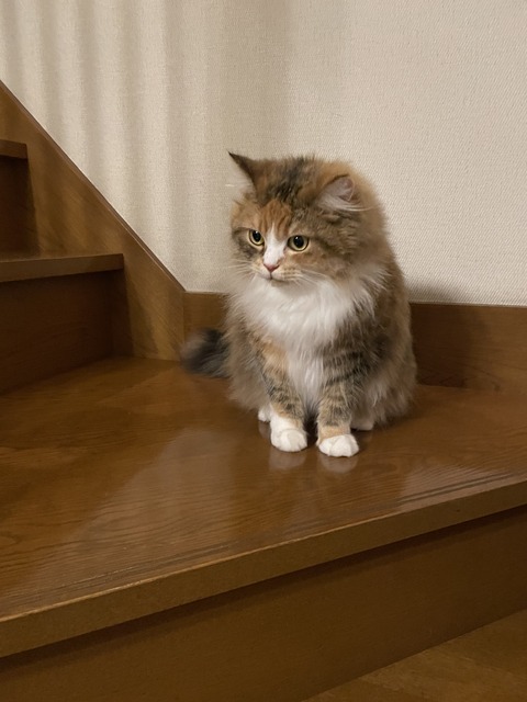 6B310CEC-F0FC-4A53-B1D8-ED2D554BAC1B