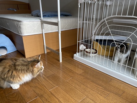 920D6F06-8CBA-42F7-A1E3-FEF2EF69B91C