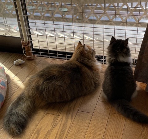 6FAA3A6F-BC38-49AF-A2CE-1817C3C499A7