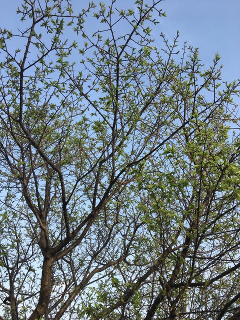 A5974B40-C3E3-4F0B-96B5-6F76C78DF18B