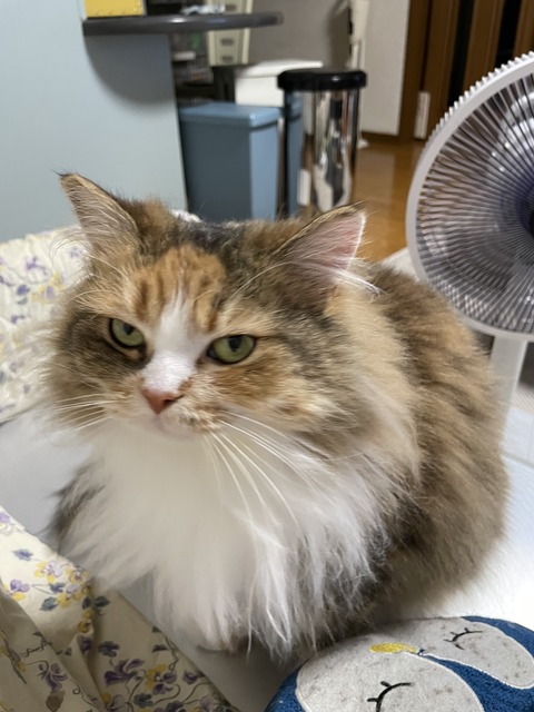 04778999-33CA-42F2-AA07-B605F152956D