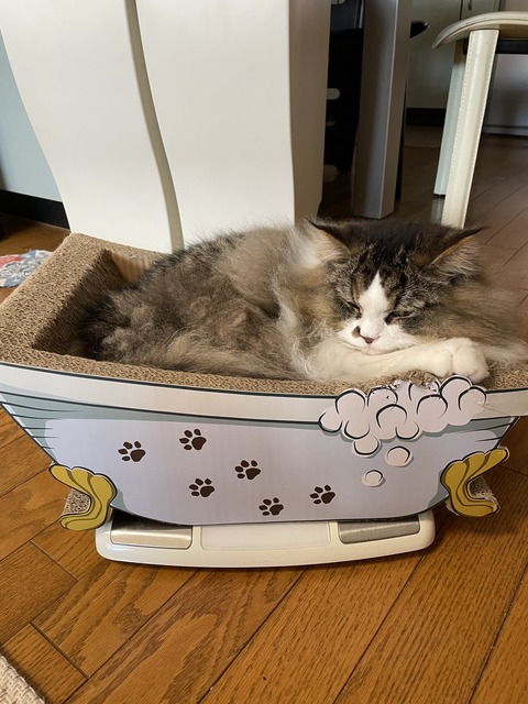 199BC24F-C3D4-4595-BBFA-7E2E40F0E2F4