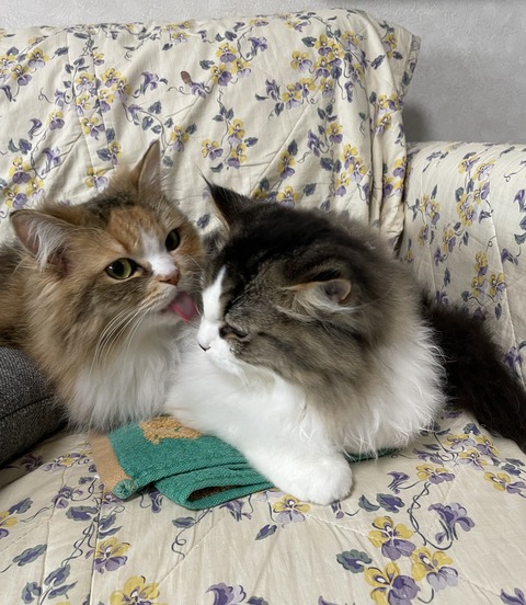 18F8C662-5180-4A47-AF50-111A834ECED1