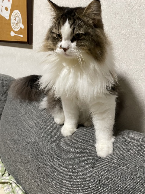 8582B9E5-337D-4D89-9933-319D7BDC7749