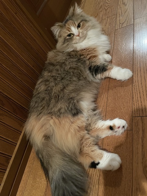 7FD2917C-5592-410A-BE7B-276B3478A116