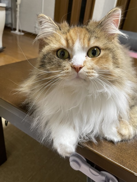 63B68F9E-0792-4971-9445-F4550B3DC3C4