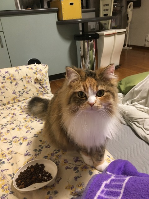 B97BE04B-6B7B-4074-B249-198F36320DF6