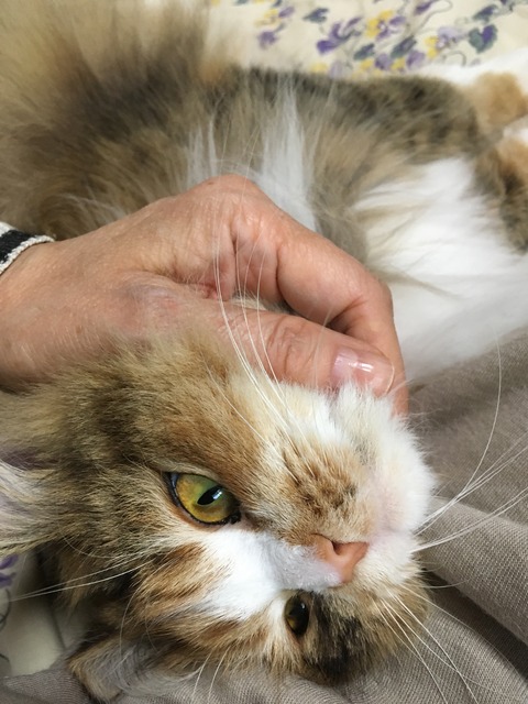 FB453B6A-AF9B-4359-B70D-85900CB958BD