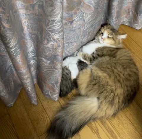 D63325EC-FA95-4CCC-B43D-7CA4794E9F30