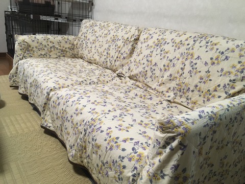 C6AE6AB5-F828-4CE7-82AA-B761C9CA4CB5