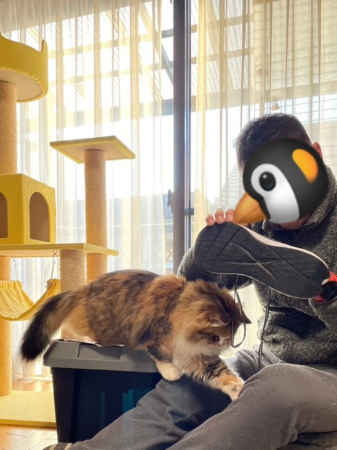 719ACC4D-1CE5-4E61-8116-EC18FD35711B