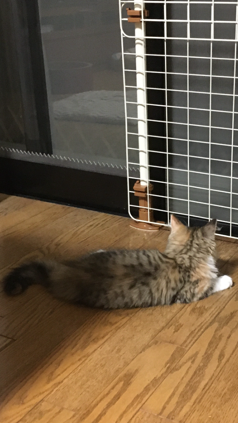 049CC8C6-E817-48F2-852D-ABA4F714D1AA