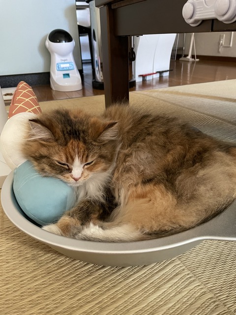 8A41D824-6BF8-4EC5-B0A5-258C78FCE22B