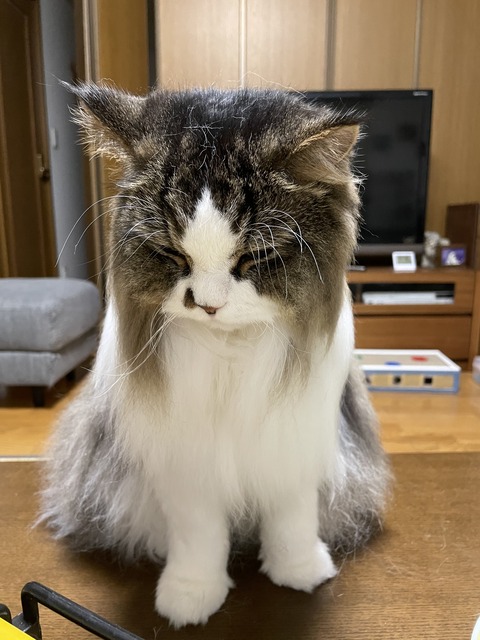 B8862C16-52E0-4350-AD2A-C59DBEC4109D