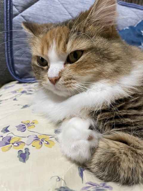 97FD2630-7F28-4FB8-B484-1DFC13EA5E81