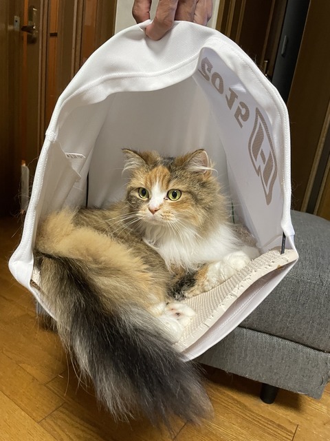 ED2FC94B-F324-4CF0-B596-20223EFFF6F8