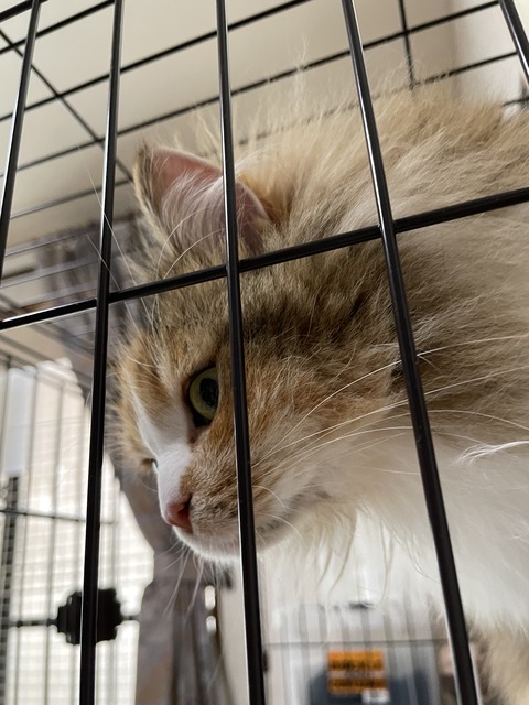 ED3F6C4C-A19F-482D-9B8F-63BFE9BDBA55