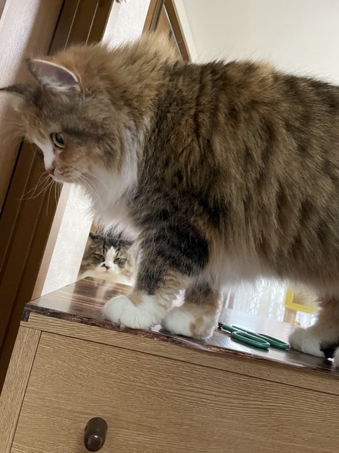 98112449-EE48-4C17-ABCD-F9FC5667BF7D