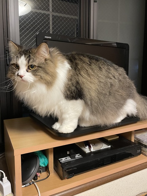 09E1B27A-37FF-4901-B318-A8866D11C082