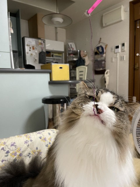 28357A3B-5253-4A14-9C95-D0211A7CC6AA