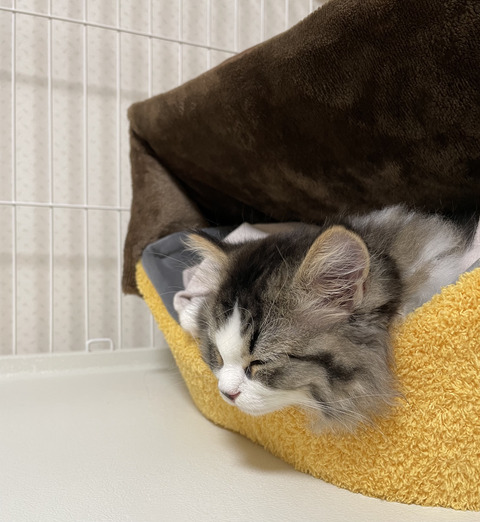 7F0375F2-14D4-4B49-A80B-B7DBAFD3203A