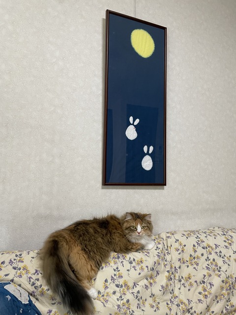 FC8C4AEE-D437-4410-819C-3BDCEAB5604B