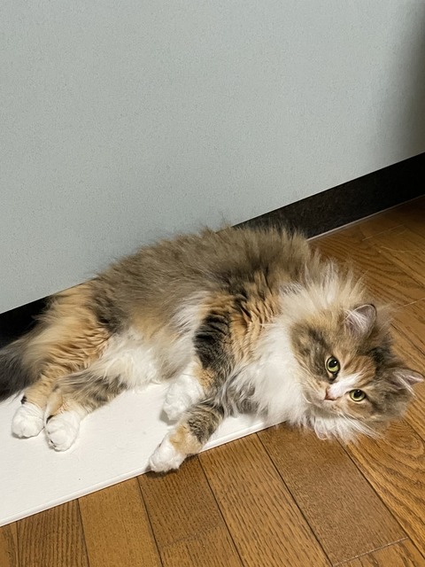 2AE91ABF-CE50-490E-A0EA-A6C8BE829E22