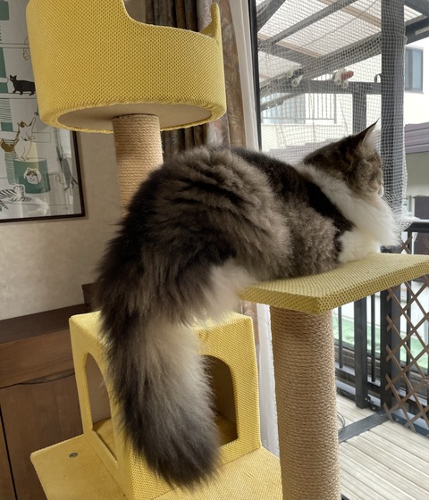 BA313417-14BD-441E-9982-DFF9642E519C