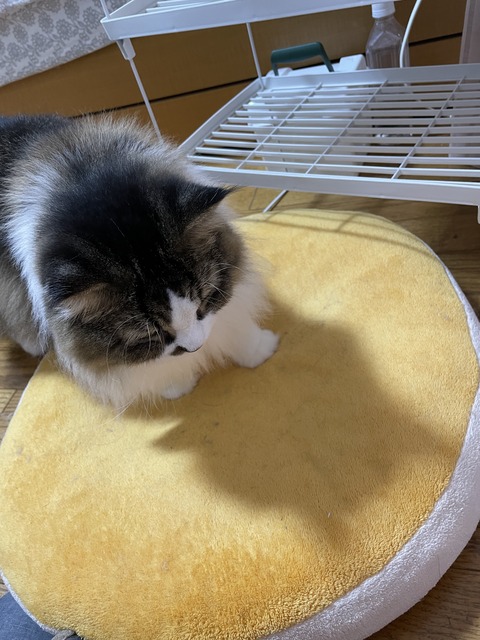 E8C01356-6682-4F61-89B3-A4157D685908