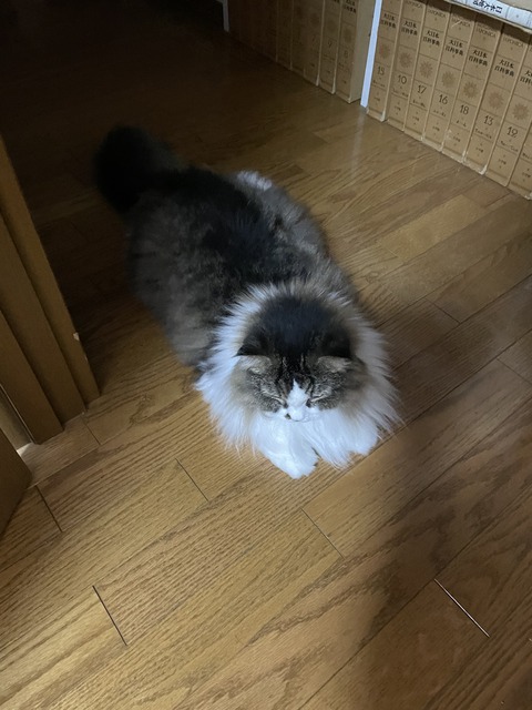 2E9689B3-99DE-4C49-B5A4-7BCBC42BC166