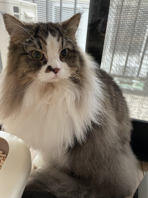 34079962-B75C-4718-8BB9-80E2ED39E42D